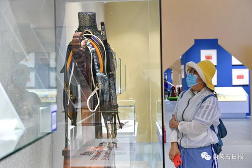 文化藝術(shù)交流展覽盛大開幕，豐富展品展現(xiàn)多元文化交流成果