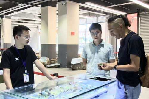 天然翡翠交流中心 聚寶谷翡翠公盤與文化藝術(shù)的完美融合